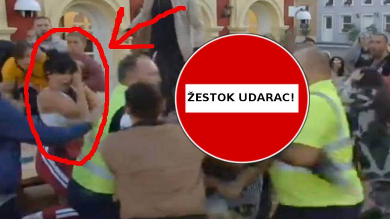 zadruga