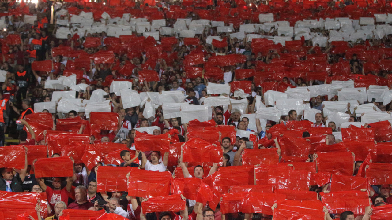 Navijači FK Crvena zvezda