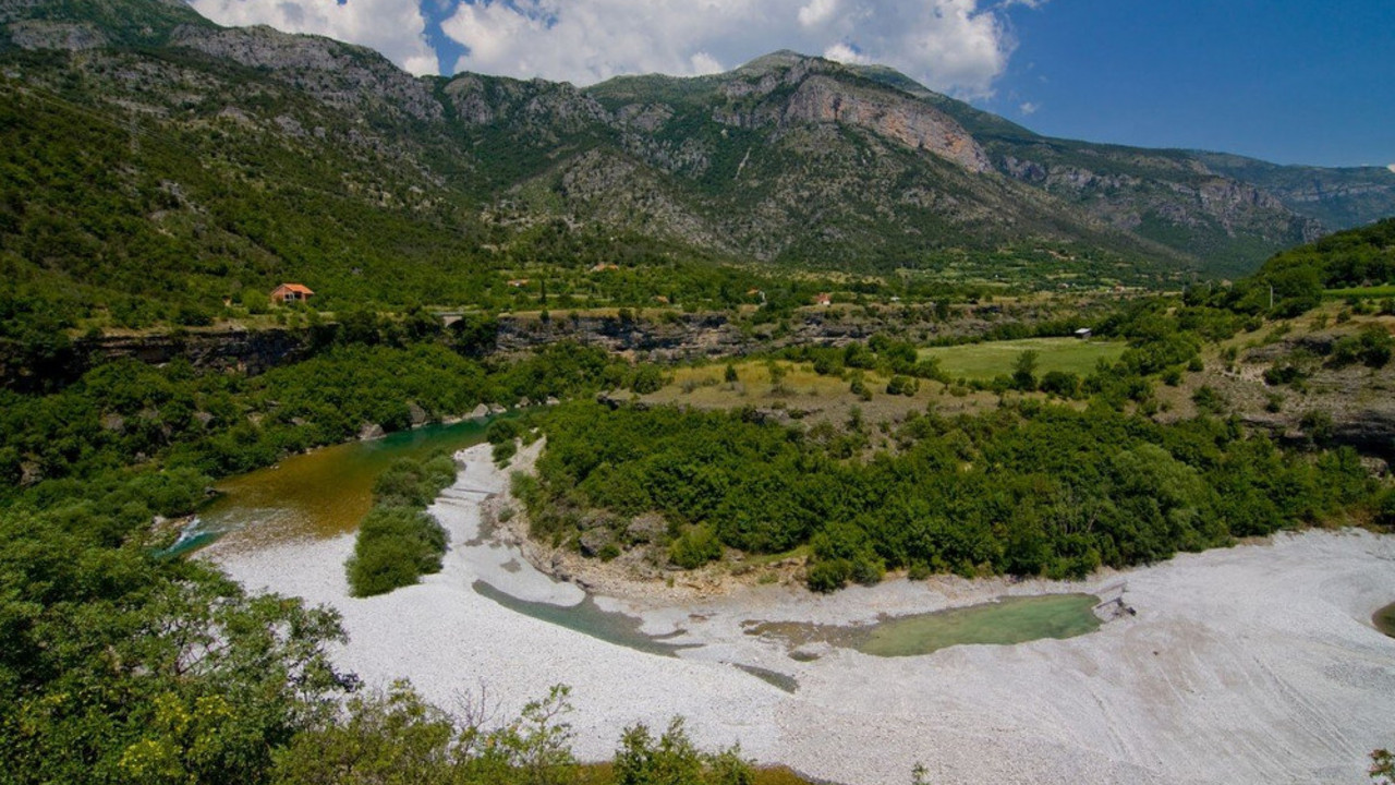 Morača
