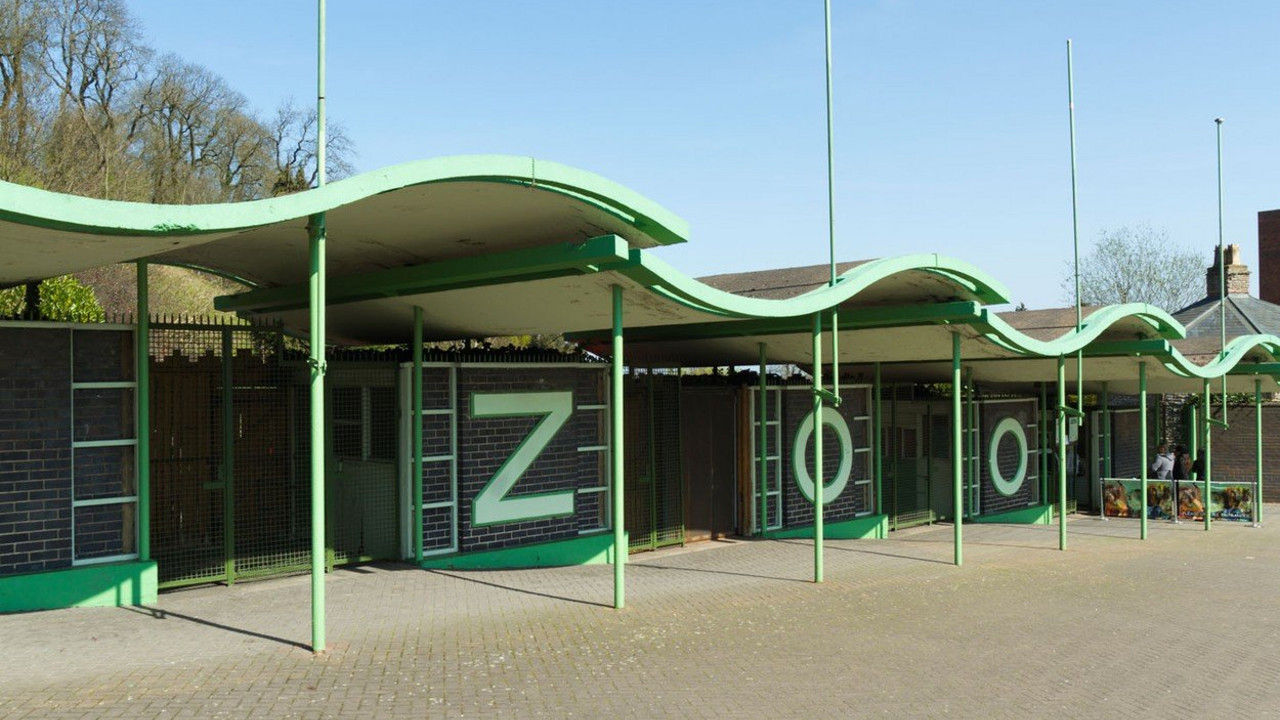 zoo