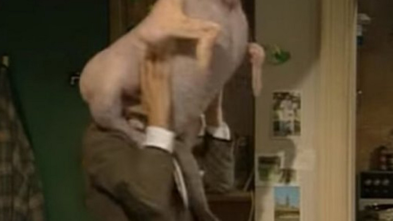 Mister Bin