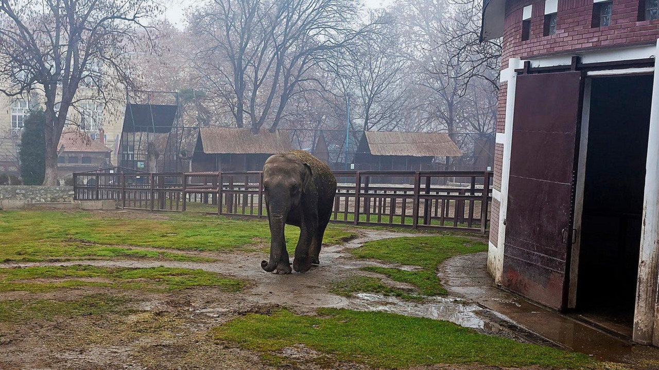 zoo vrt