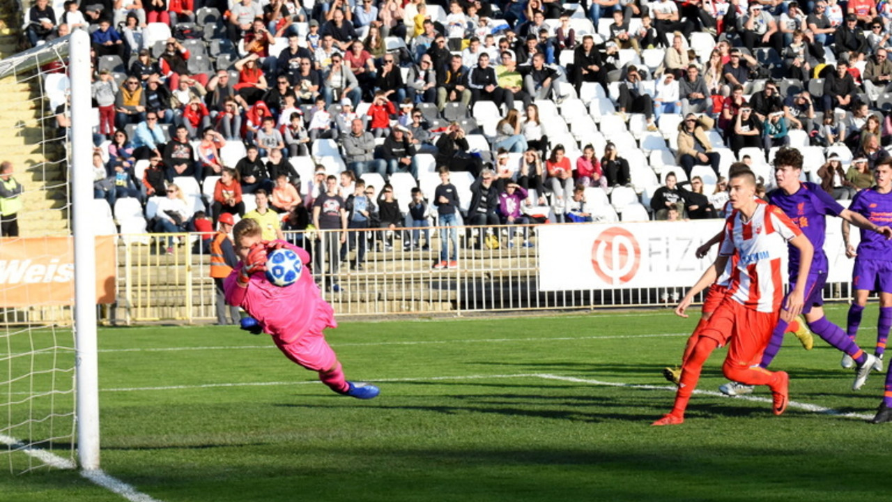 FK Crvena zvezda