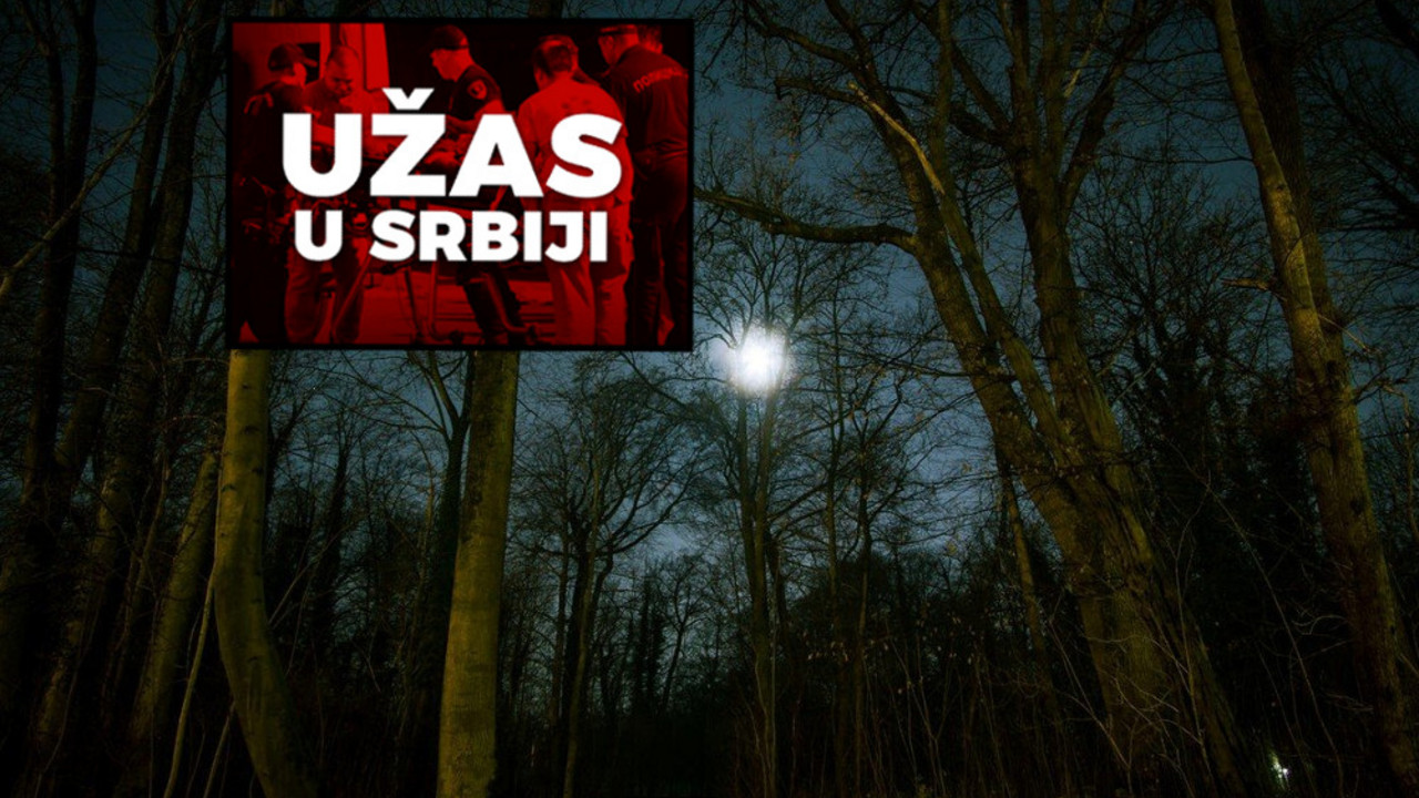 Šuma 