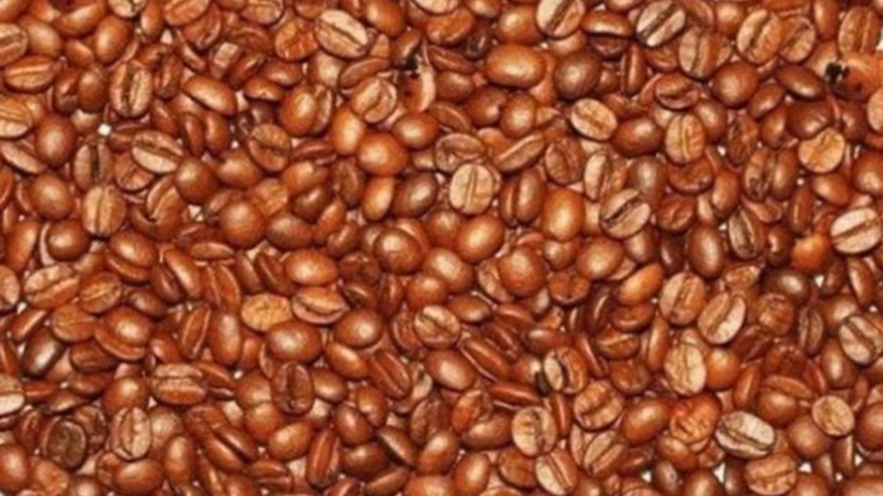 Kafa mozgalica