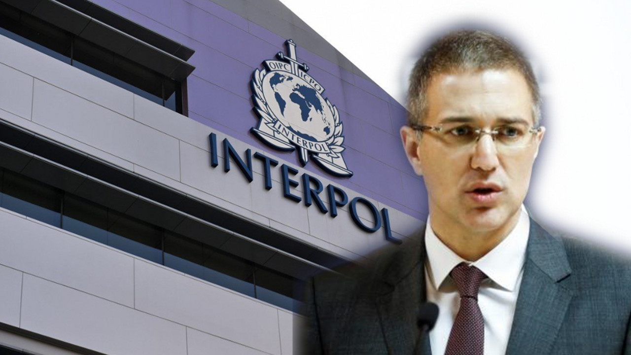 Nebojša Stefanović, Interpol