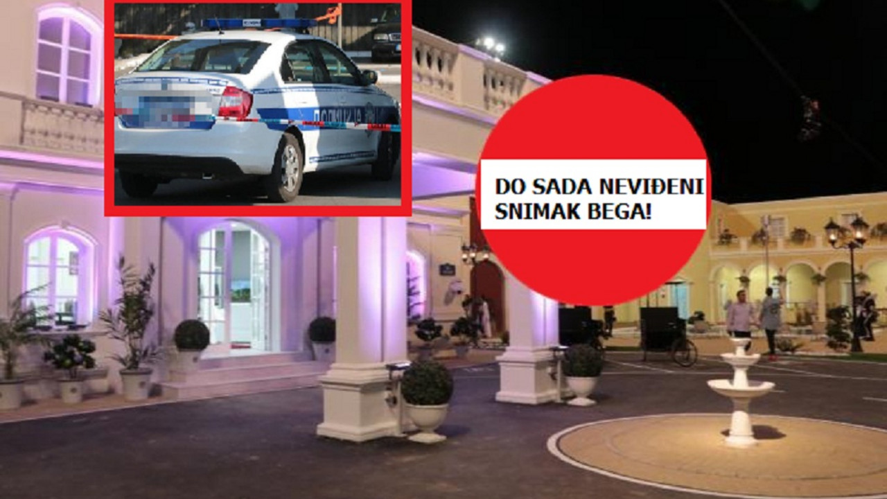 zadruga