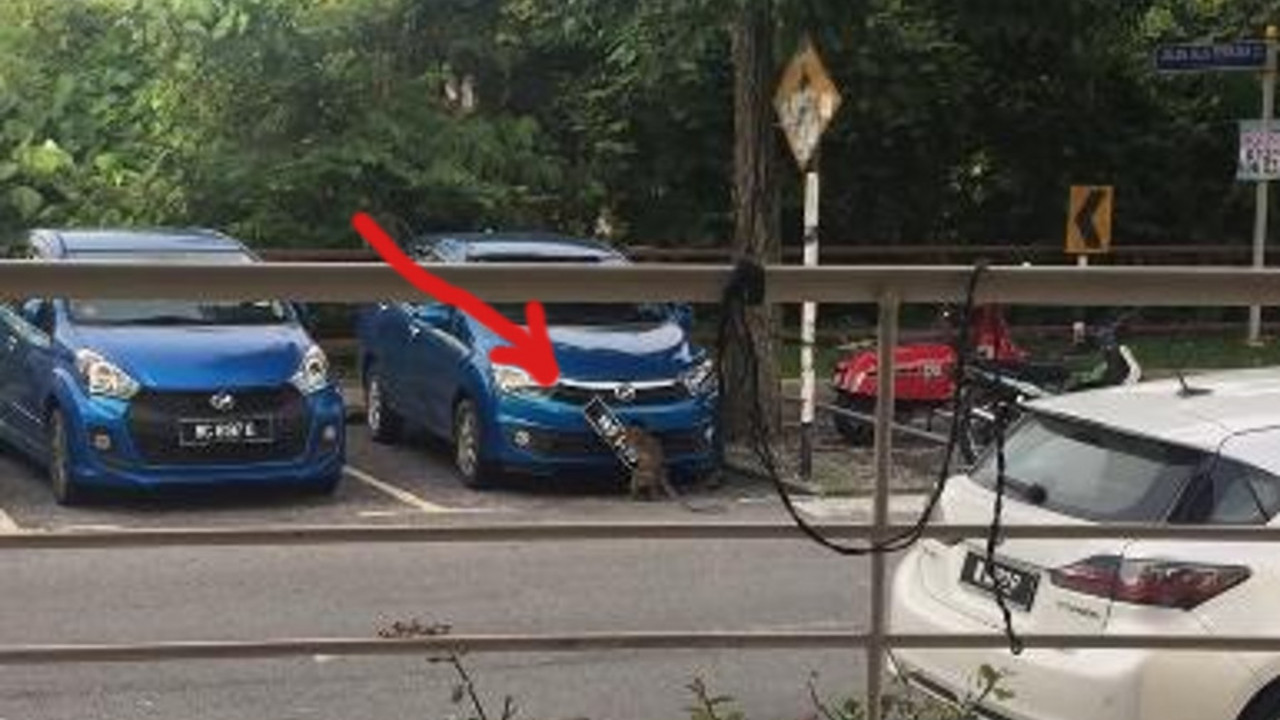 Automobil