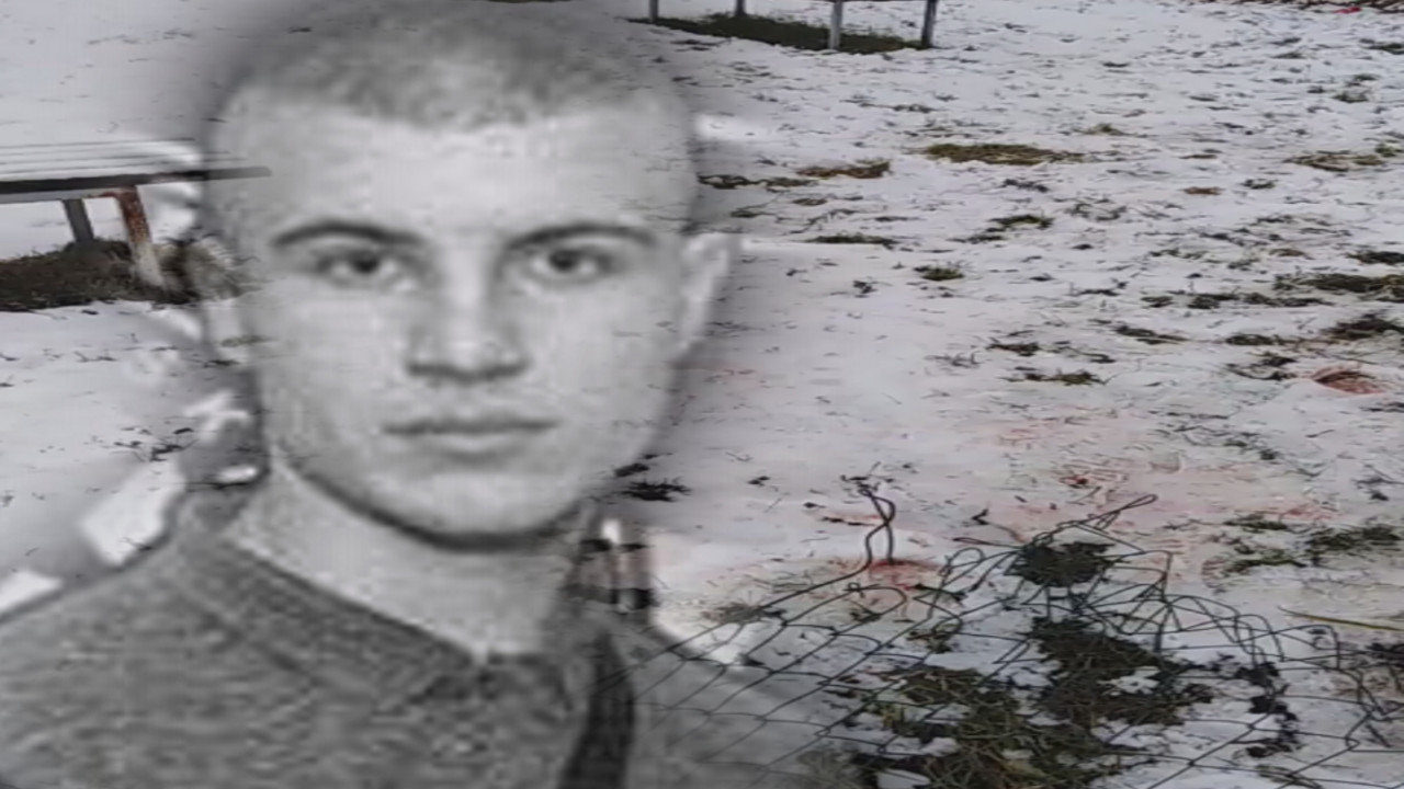 Veljko Vasiljević