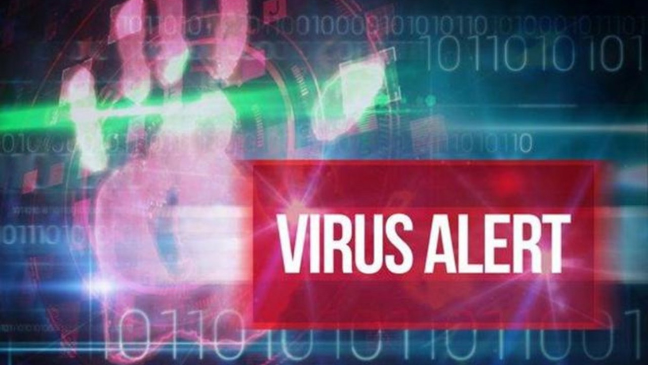 Virusi