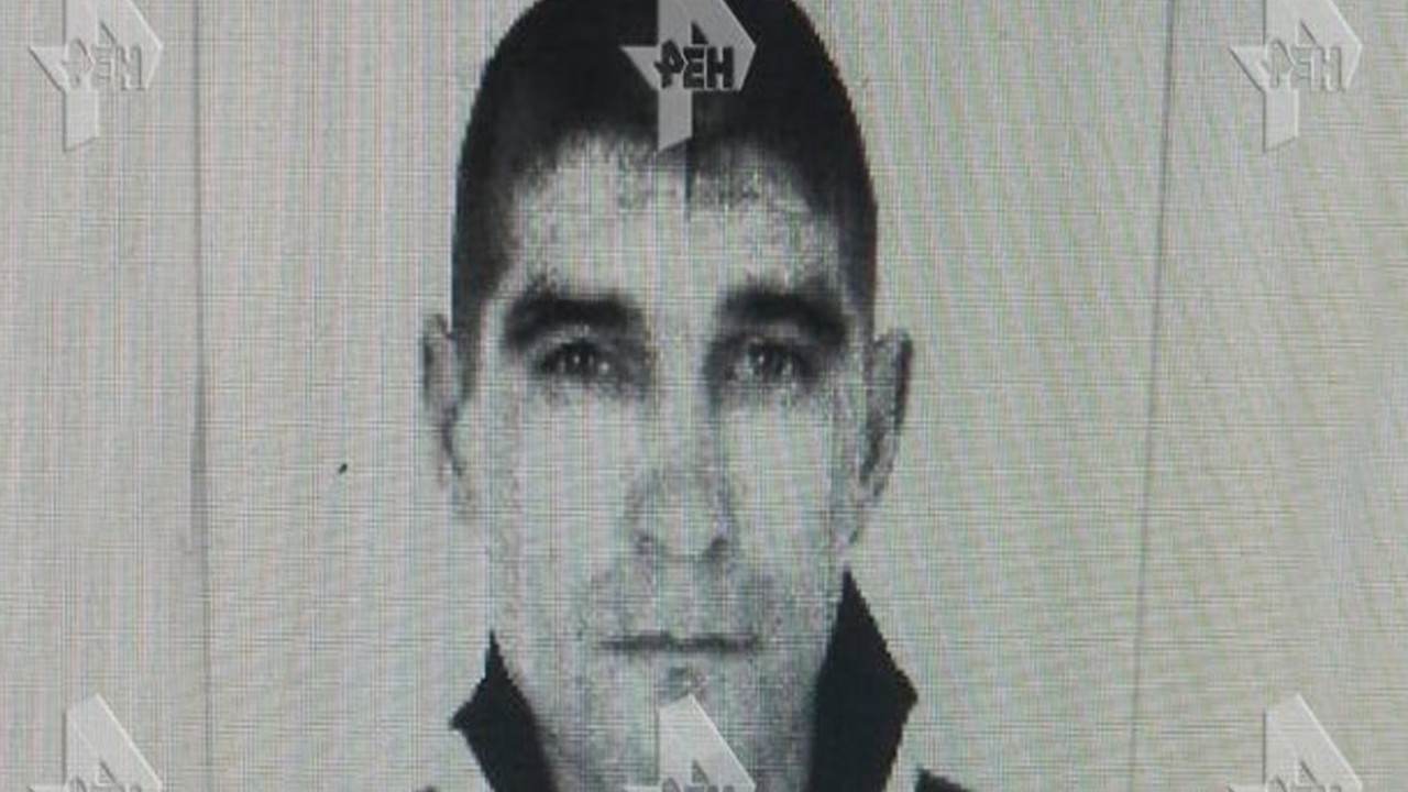 Putnik