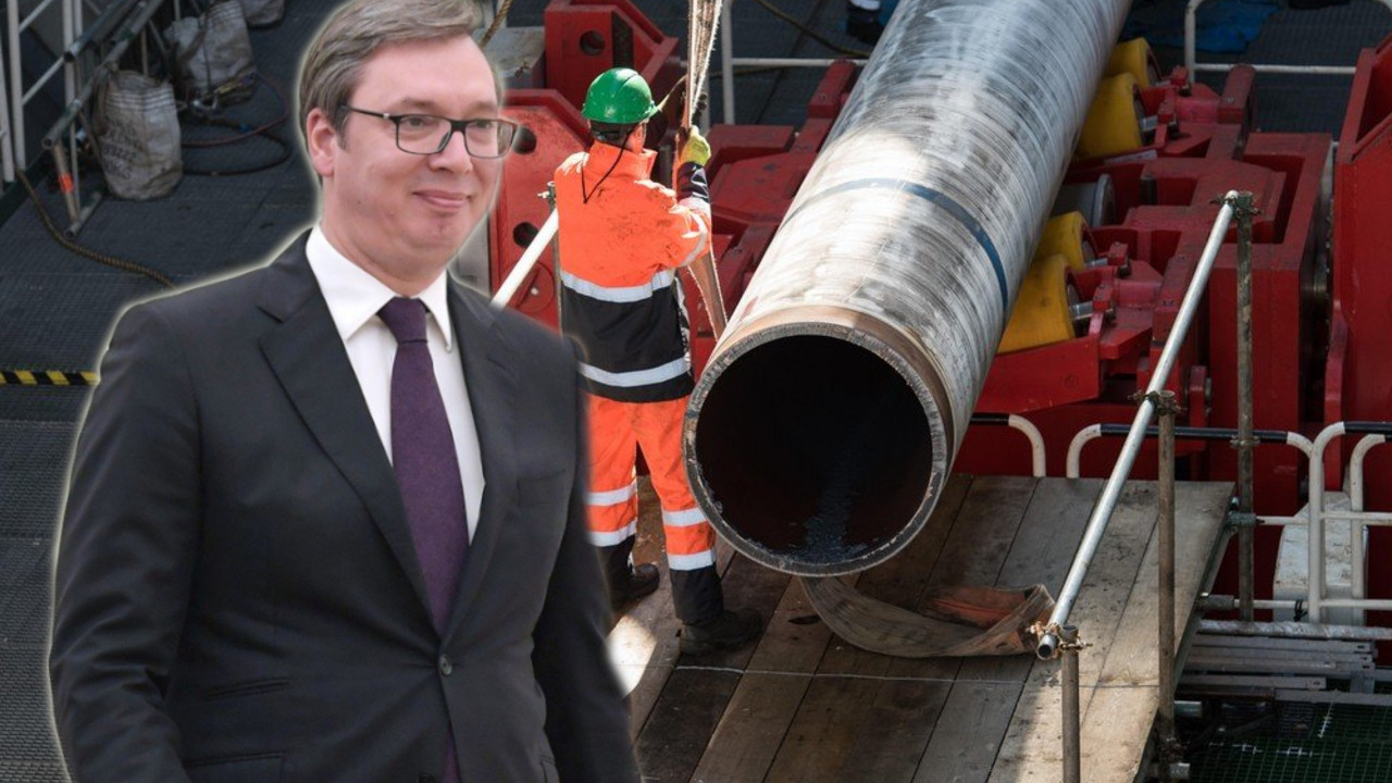 vucic