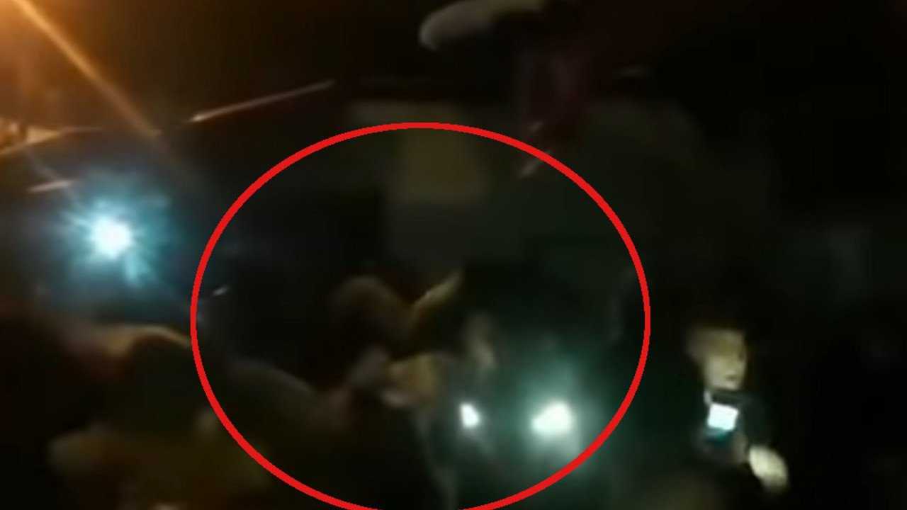Tuča u Šutki