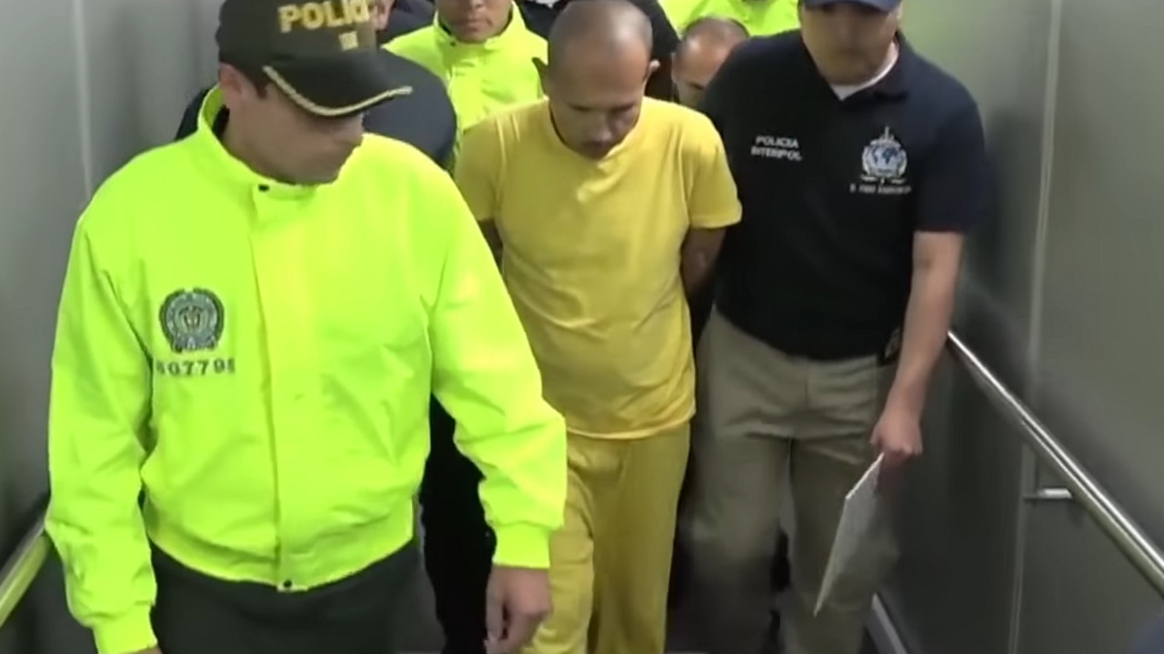 Pedofil