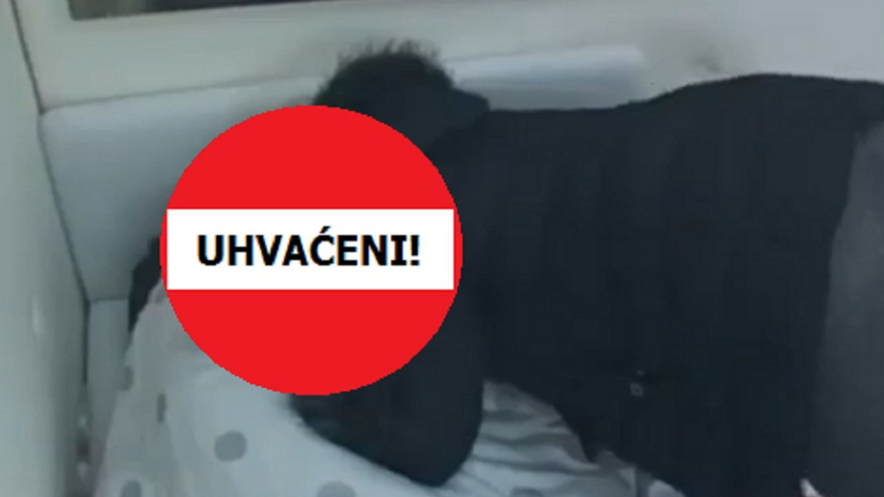 Zadruga