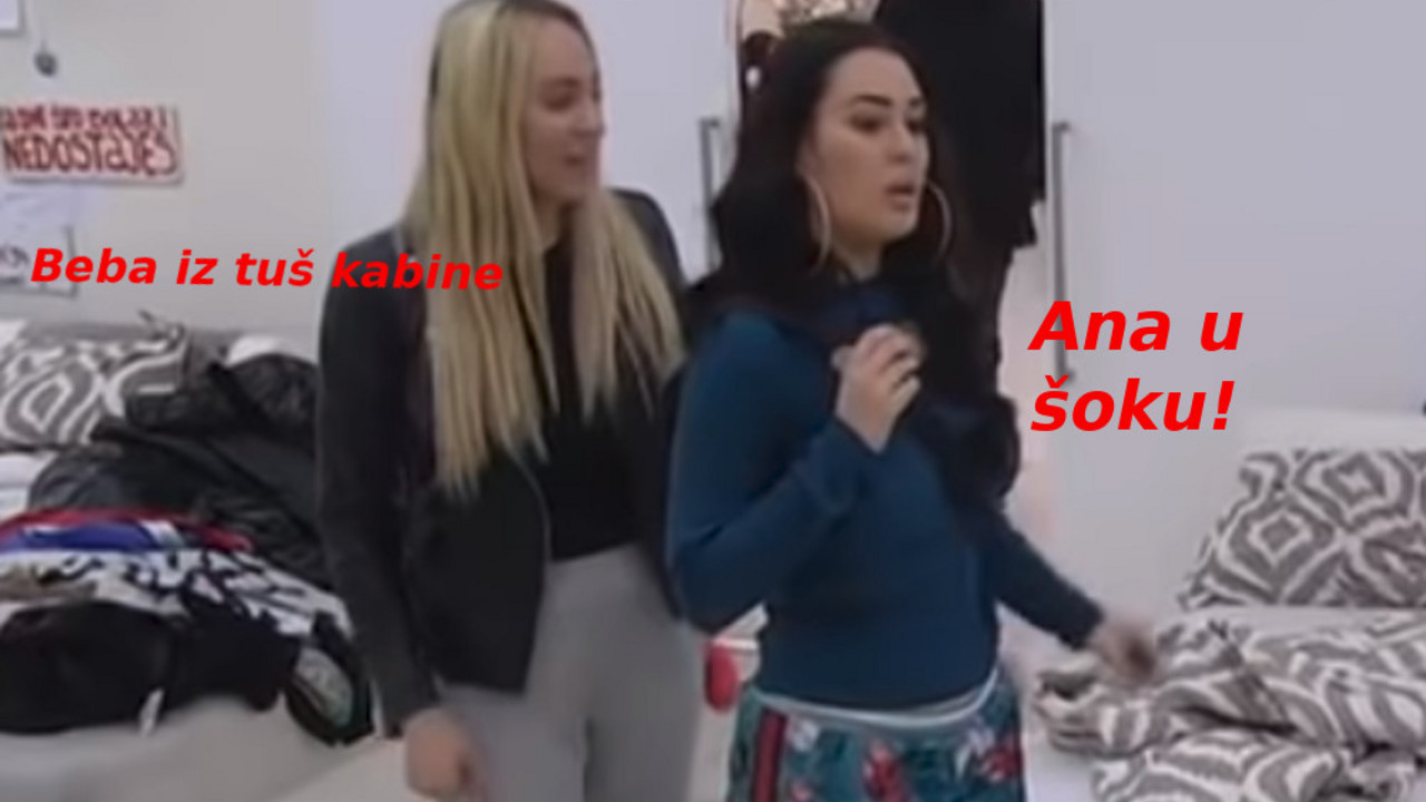 zadruga