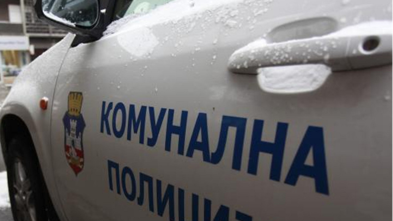 Komunalna policija grada Beograda