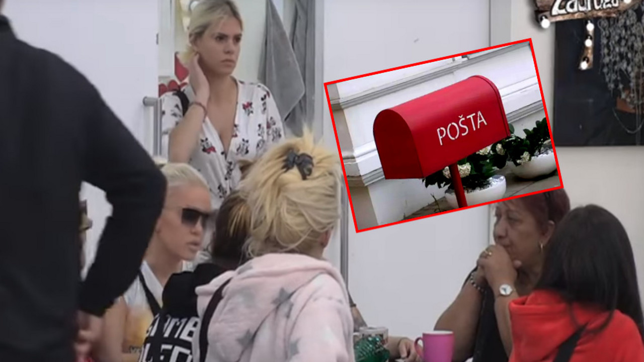 zadruga