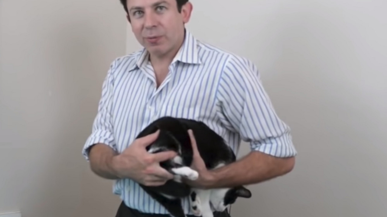 Urnebesni veterinar