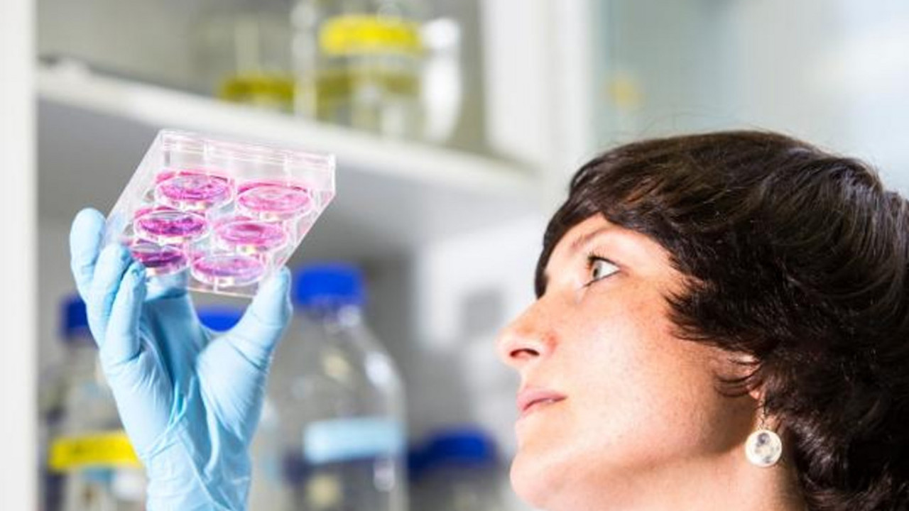 laboratorija