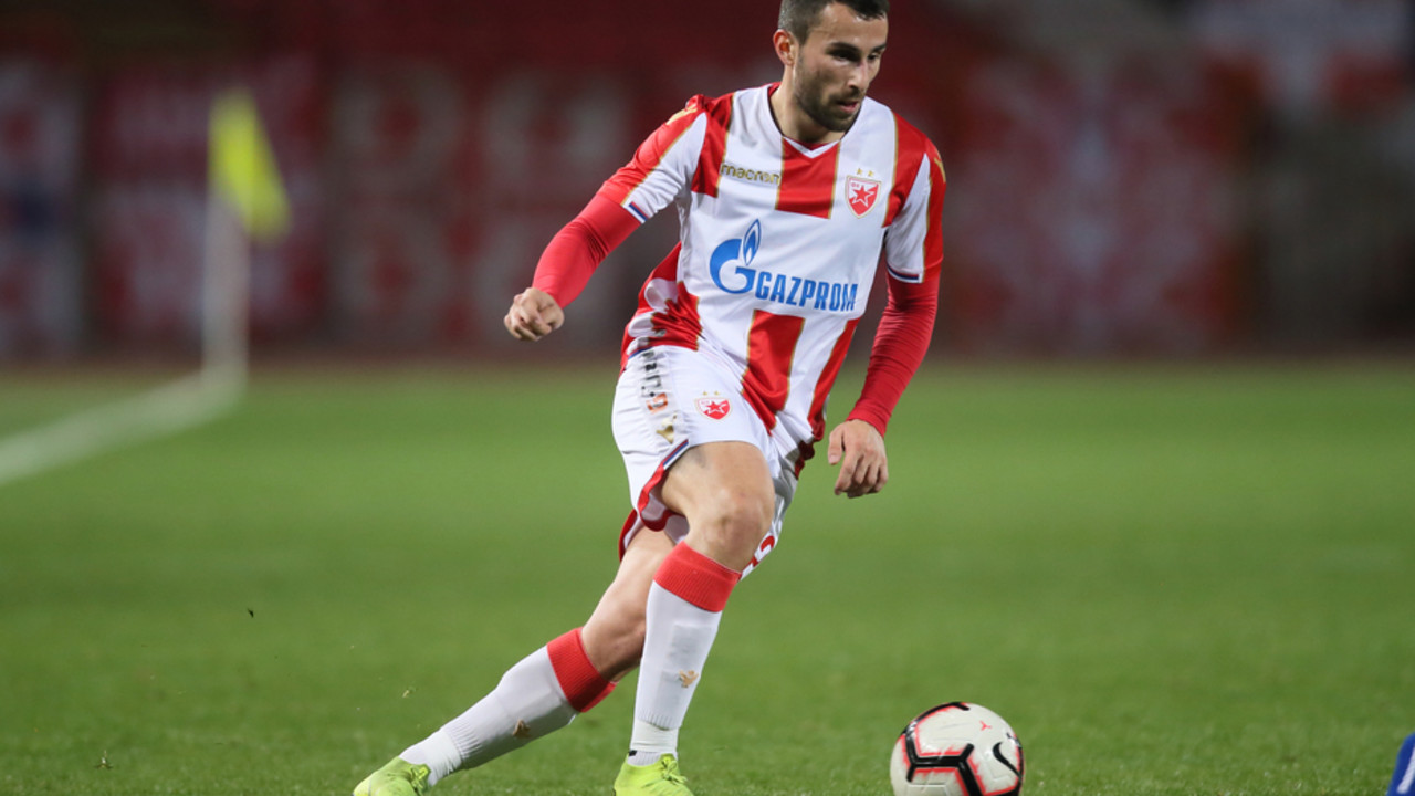 Milan Gajić
