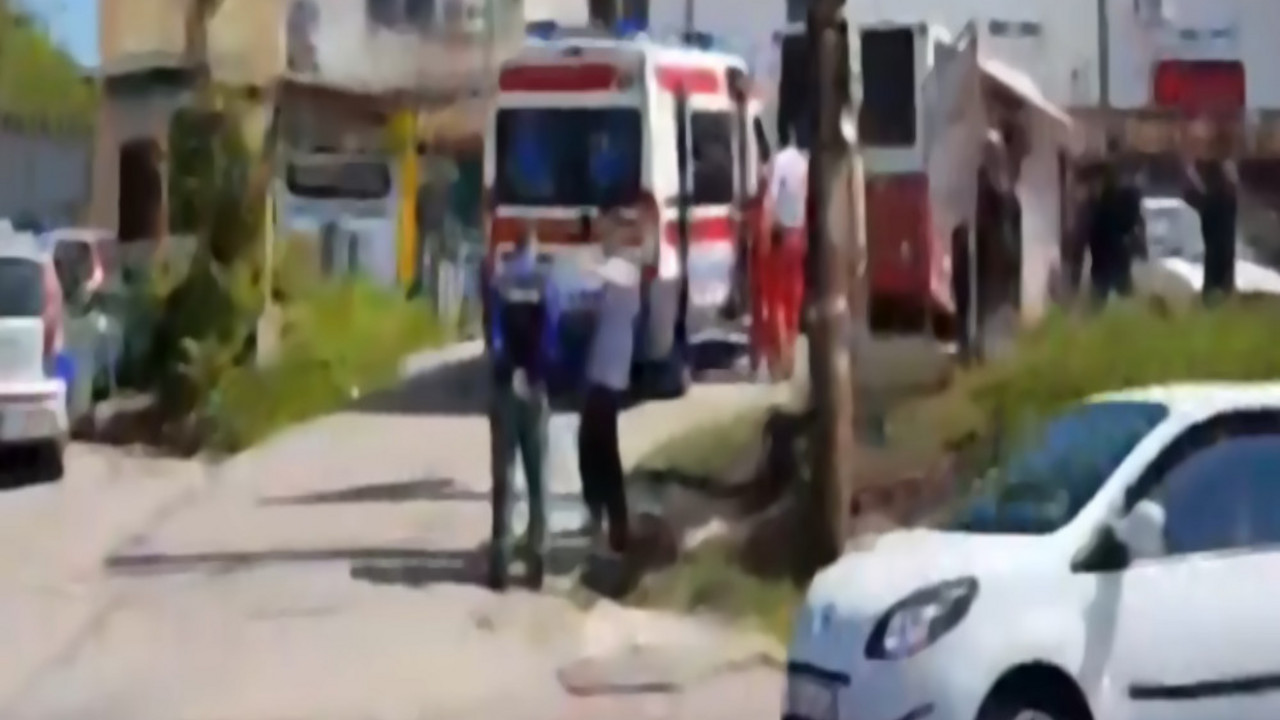 bus