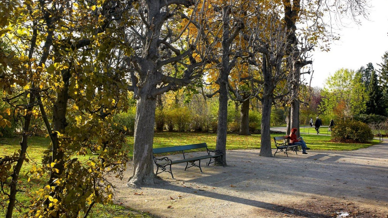 park
