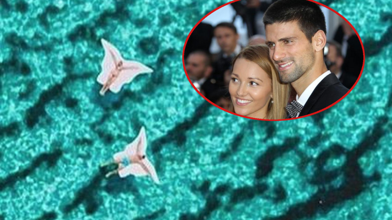 Novak Đoković, Jelena Đoković