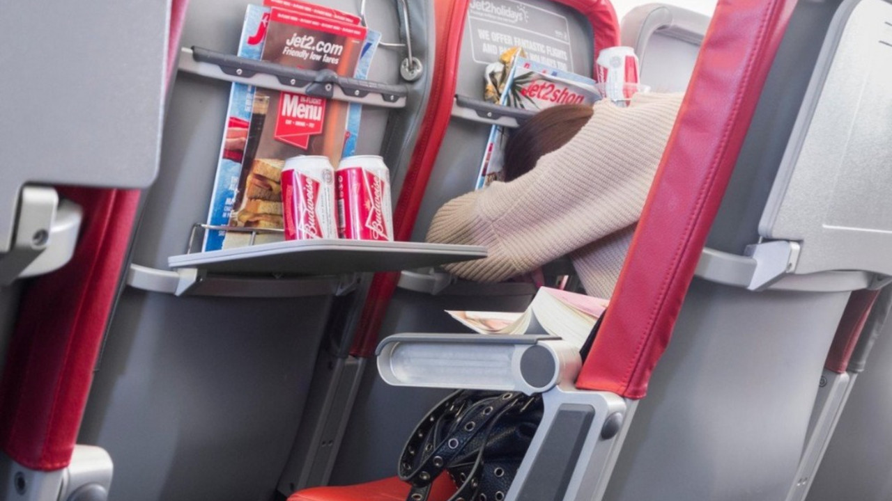 Putnik u avionu