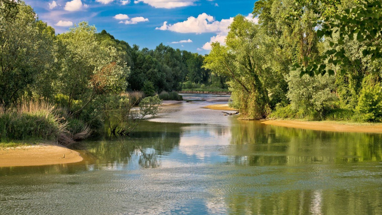 Drava
