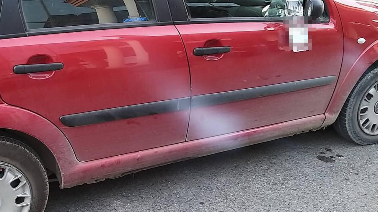Lučanac čuva automobil