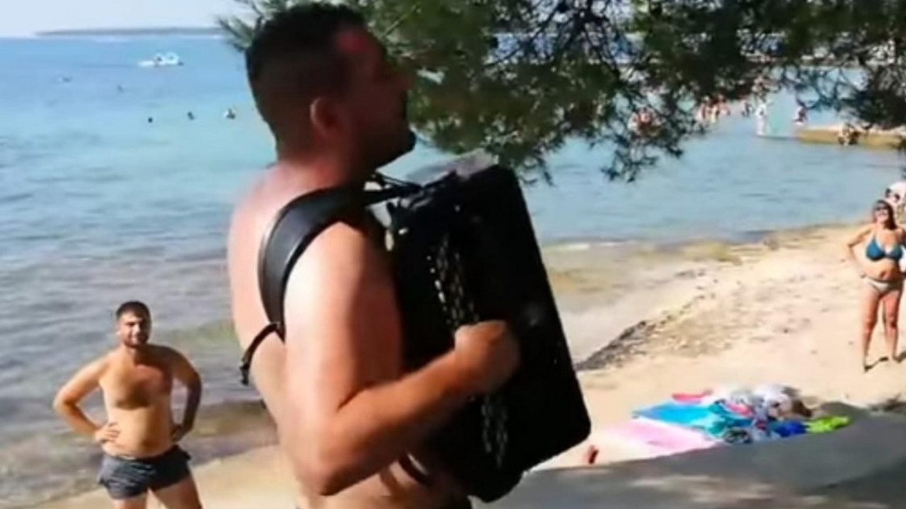 harmonikaš