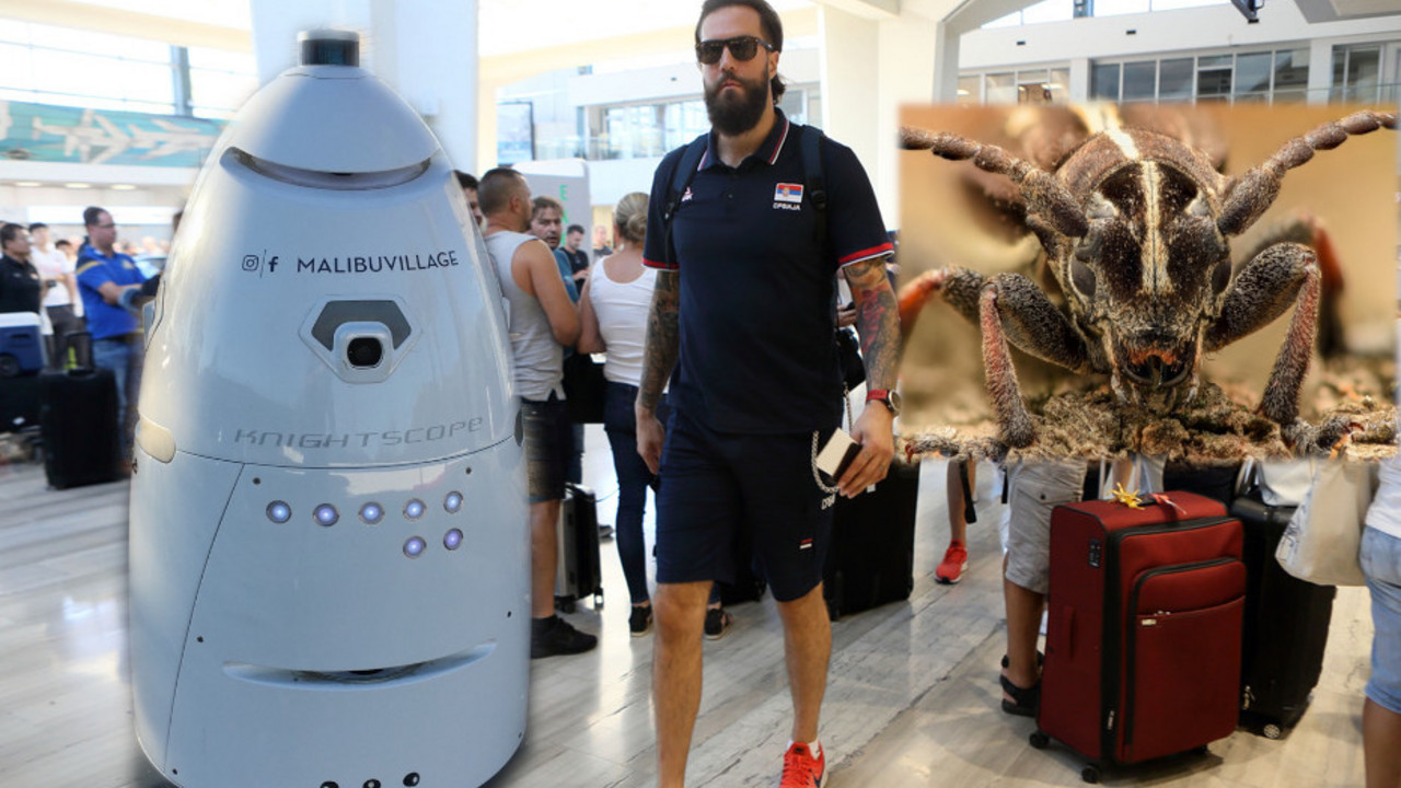 Miroslav Raduljica