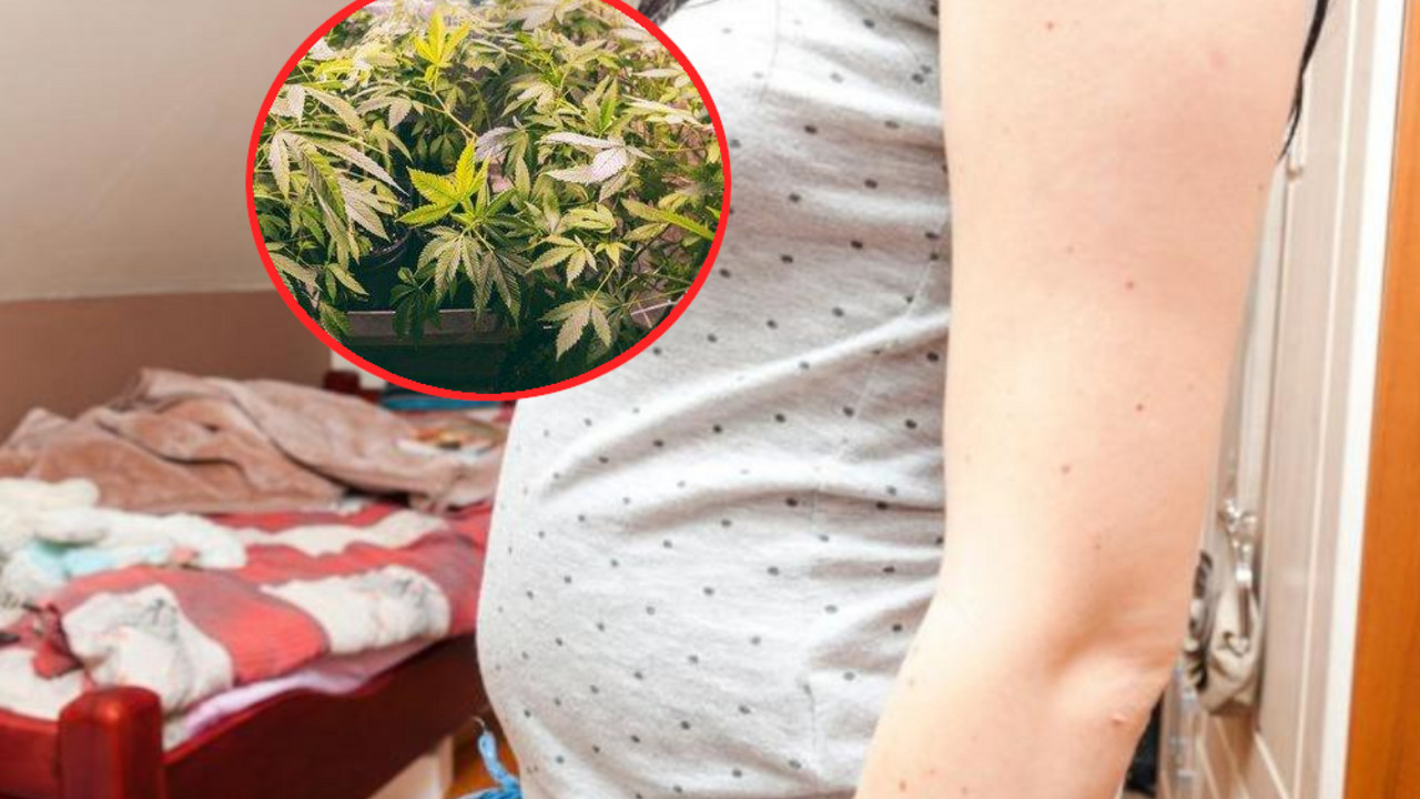 marihuana