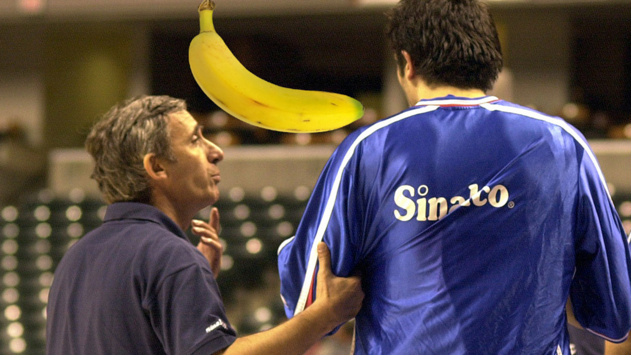 Vladimir Radmanović i Svetislav Pešić