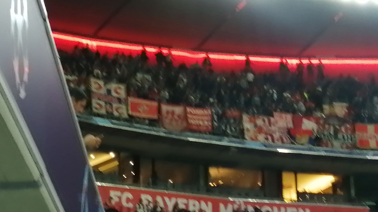 Navijači Crvene zvezde