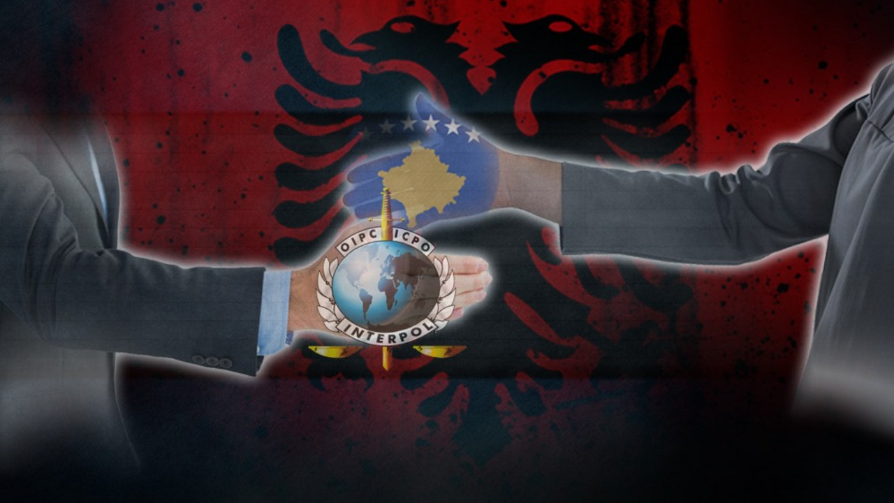 UMNIK i Interpol