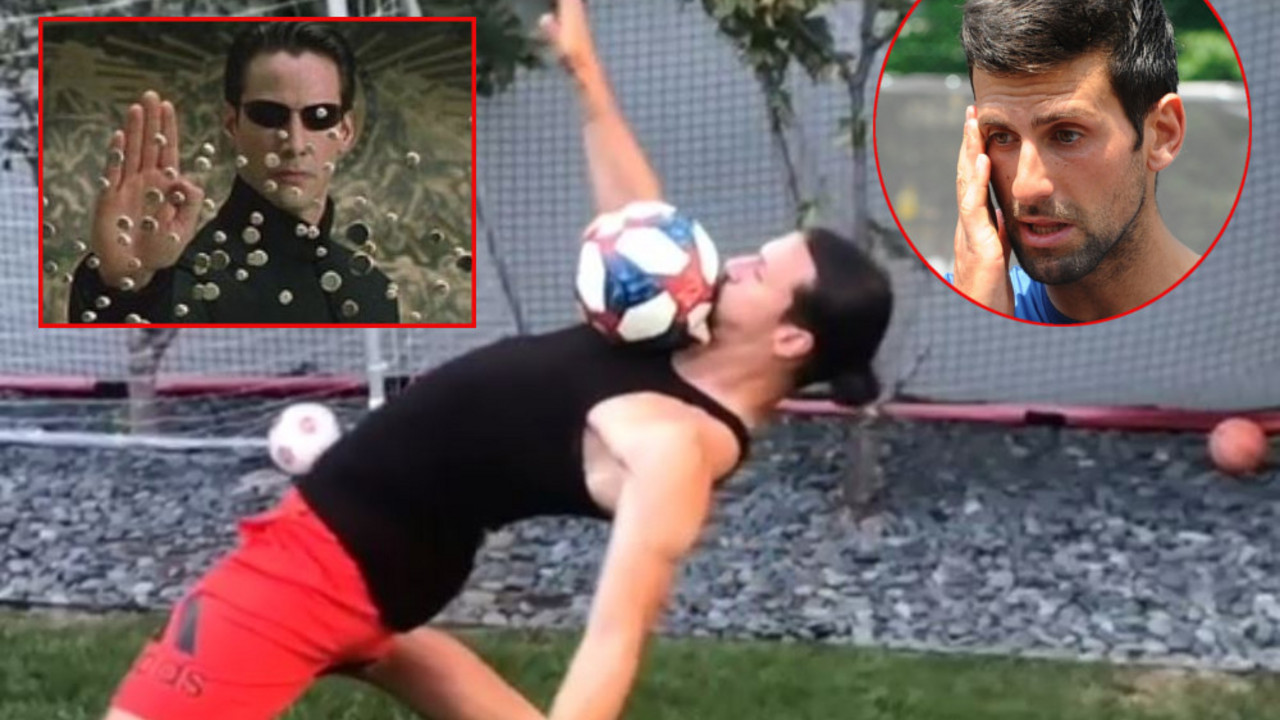 Zlatan Ibrahimović, Novak Đoković