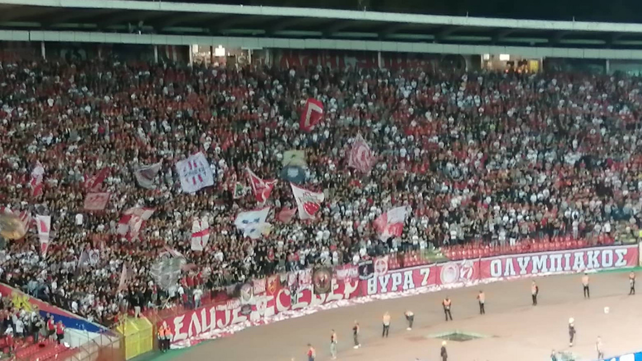 Navijači FK Crvena zvezda