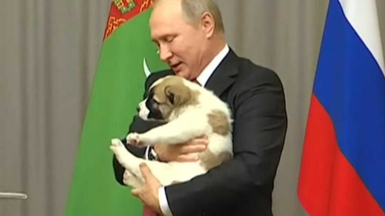 Vladimir Putin 
