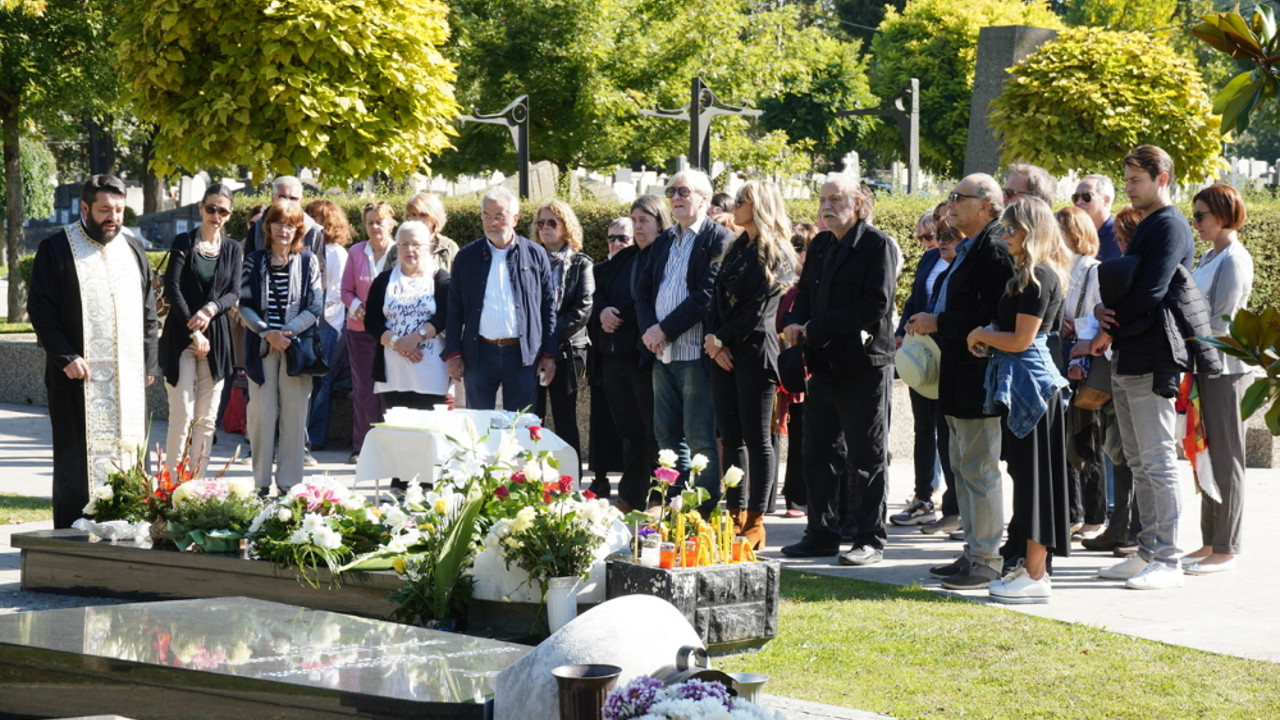 Milena Dravić, pomen