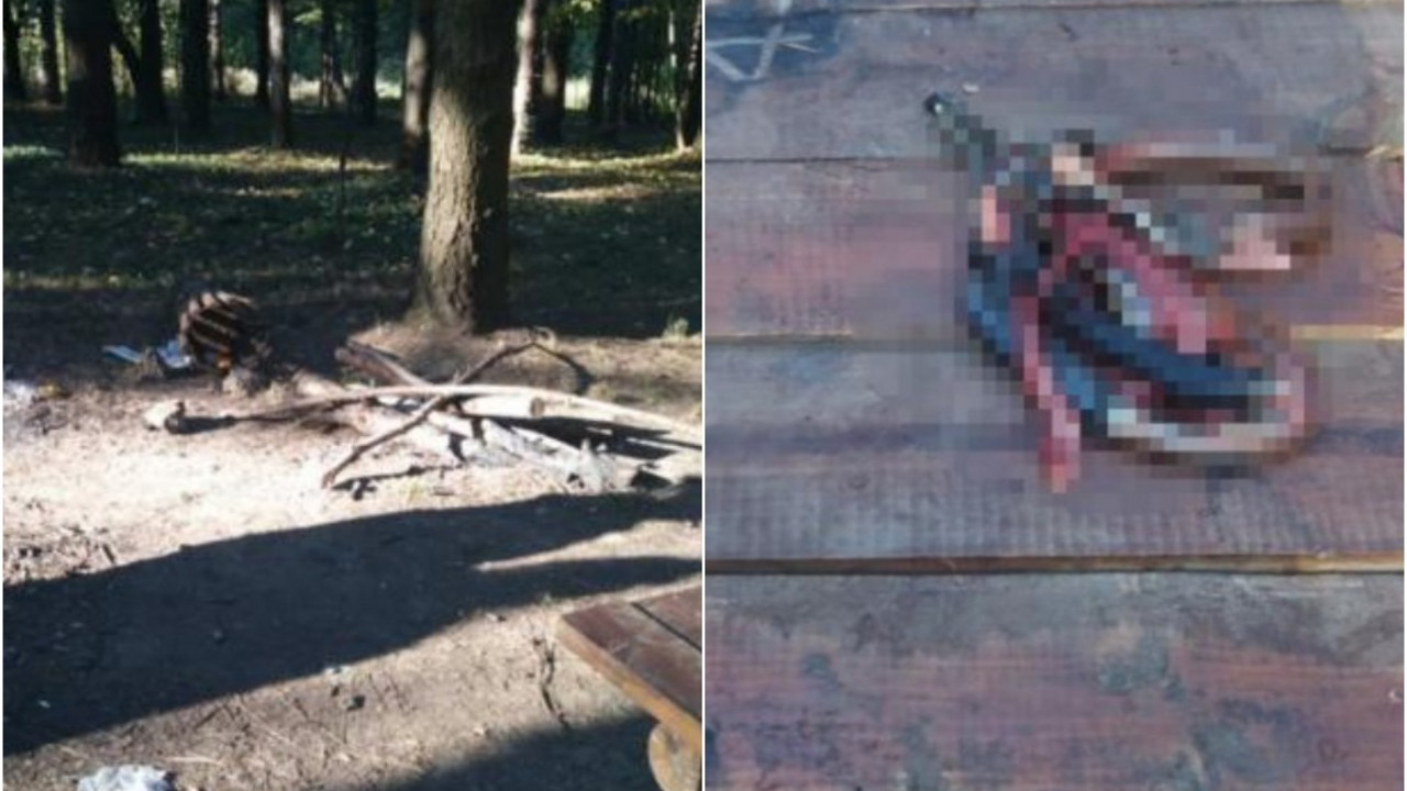 zmije