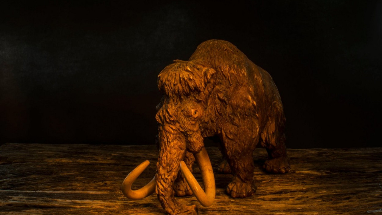 mamut