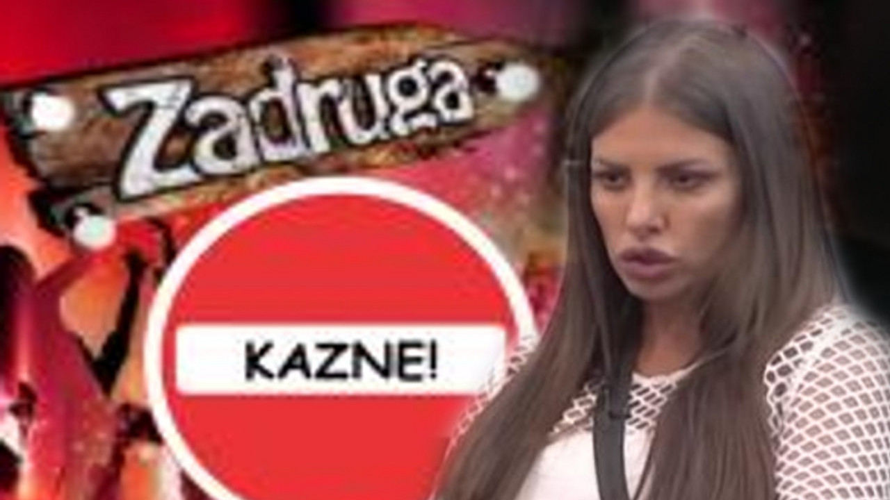 Dragana Mitar, Zadruga, kazne