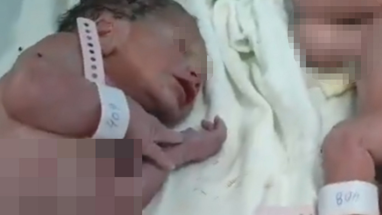 bebe