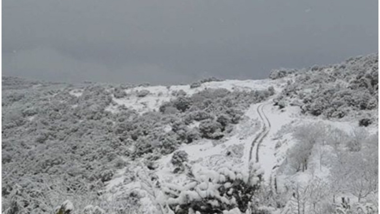 Grčka