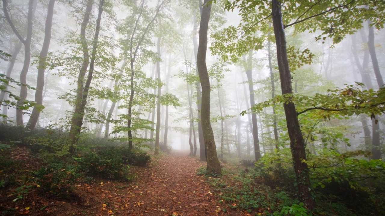 Fruška gora