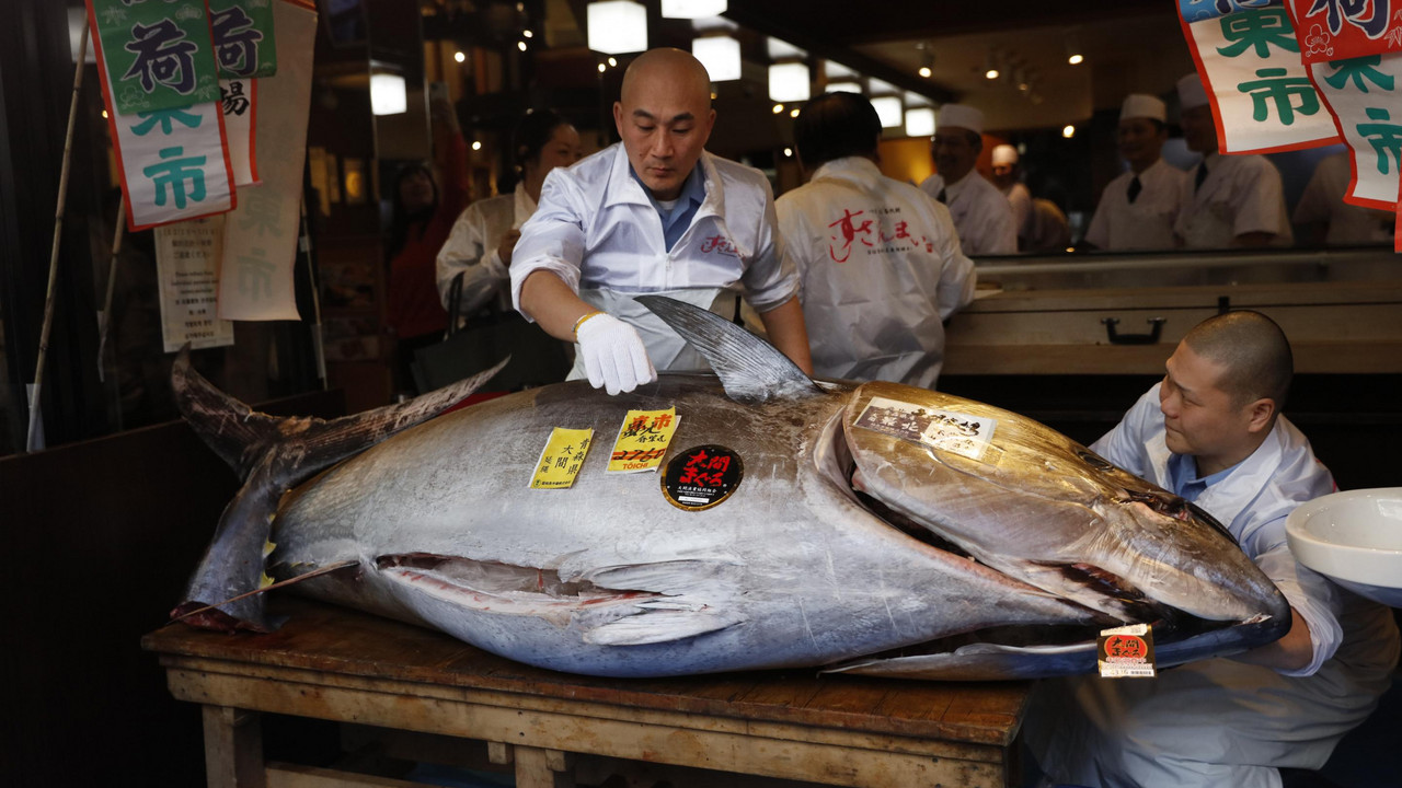 Tuna