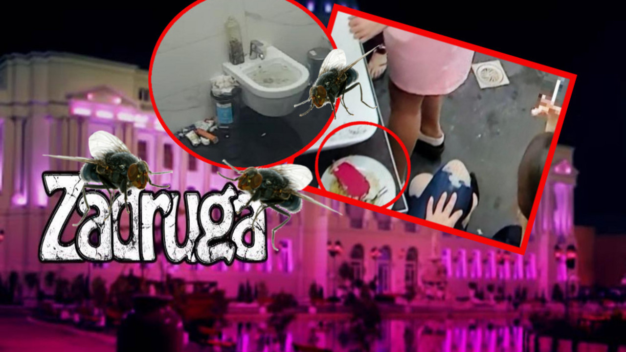 Zadruga 3