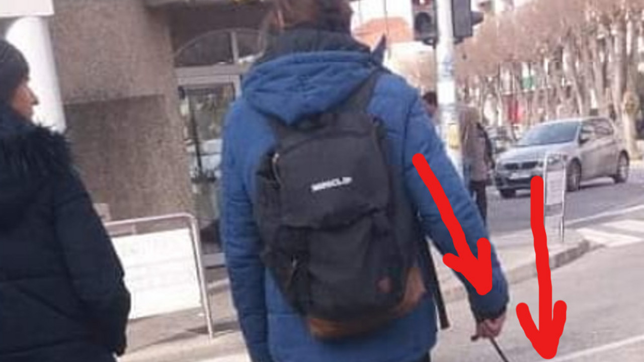 Hrvat vodi mačku na povocu
